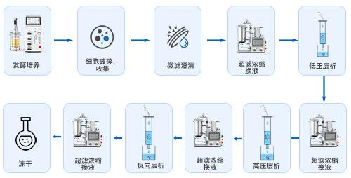 生物发酵下游工艺